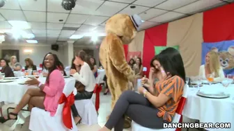 Big cock hot boys and a fluffy dancing bear entertain hot women