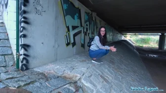 Public Agent - köprü altında ne yapıyorsun?